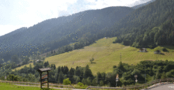 Cottage a Vermiglio – Val di Sole – Passo Tonale