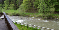 Splendido Quadrilocale con 2 bagni a Cogolo – Val di Peio