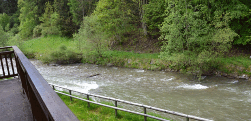 Splendido Quadrilocale con 2 bagni a Cogolo – Val di Peio