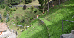 Maso indipendente a Castello