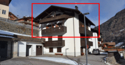 Comasine in val di Peio – 2 appartamenti quadrilocali