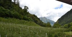 Maso indipendente da ristrutturare – Malè