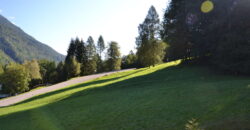 Comodo trilocale con terrazzo e vista magnifica sul bosco