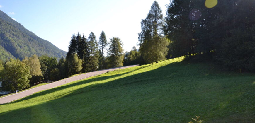 Comodo trilocale con terrazzo e vista magnifica sul bosco