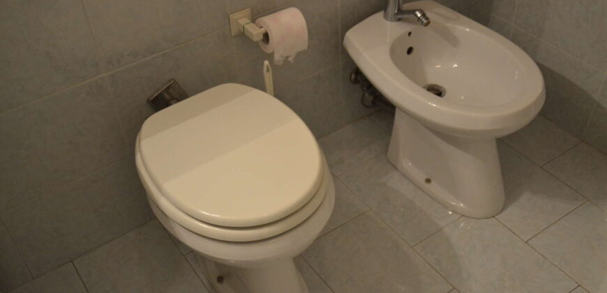 Comodo trilocale con terrazzo e vista magnifica sul bosco