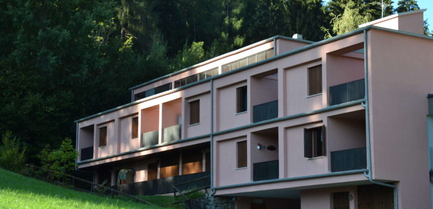Comodo trilocale con terrazzo e vista magnifica sul bosco