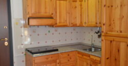 Comodo trilocale con terrazzo e vista magnifica sul bosco
