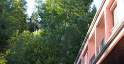 Comodo trilocale con terrazzo e vista magnifica sul bosco