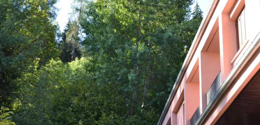 Comodo trilocale con terrazzo e vista magnifica sul bosco