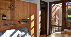 Comodo trilocale con terrazzo e vista magnifica sul bosco