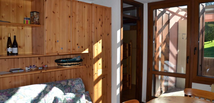 Comodo trilocale con terrazzo e vista magnifica sul bosco